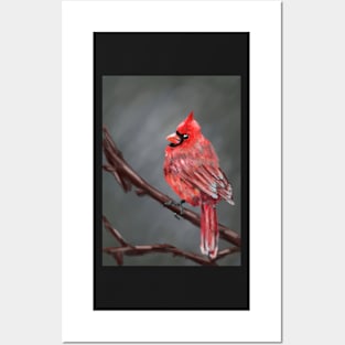 Red Cardinal Posters and Art